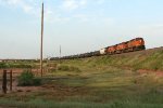 BNSF WB freight just off the bridge at the foot of the hill